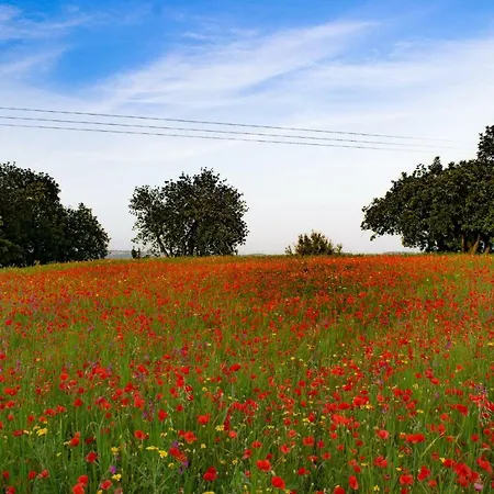 Gaia Alloggio per agriturismo
